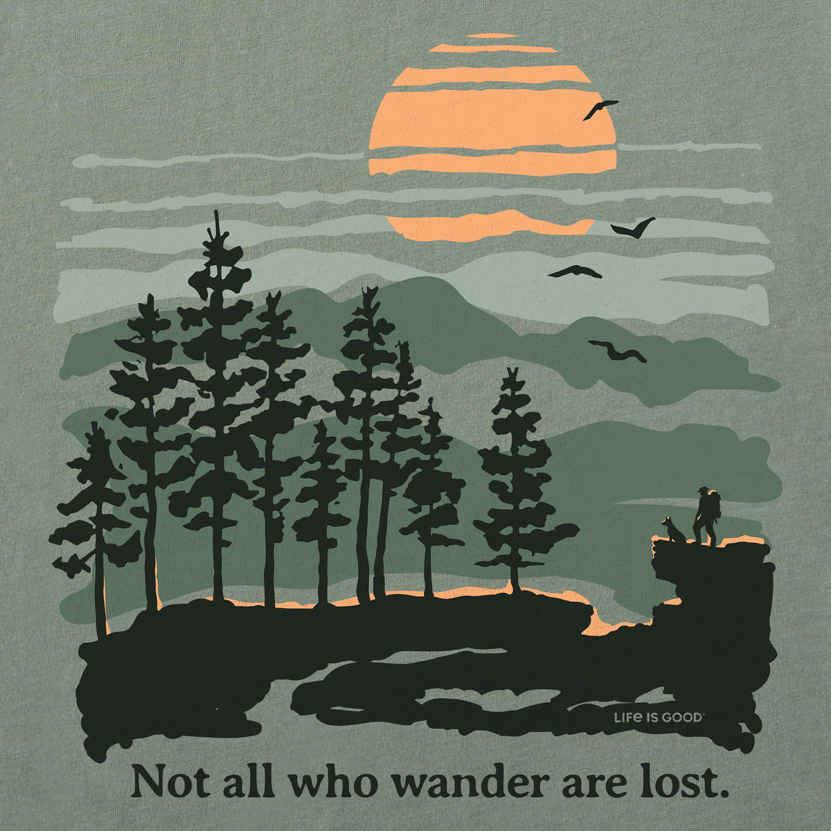 Women's Not All Who Wander Hikers Short Sleeve Crusher Boxy product image 2